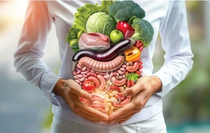 Digestion